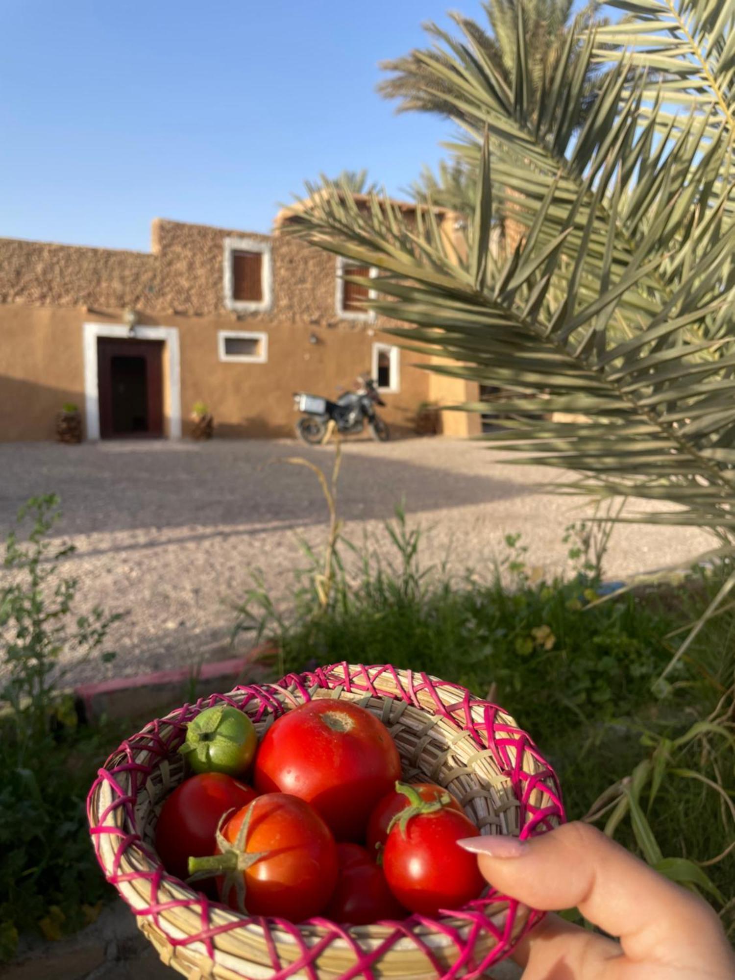 Maison D'Hote Dar Imrane Tatta Exterior foto